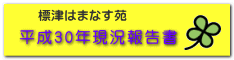 平成30年現況報告書